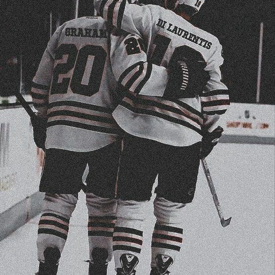 Ivory and Violet Sallow logo