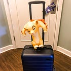 5 Small Things I Packed for Disney World that were Complete Game-Changers