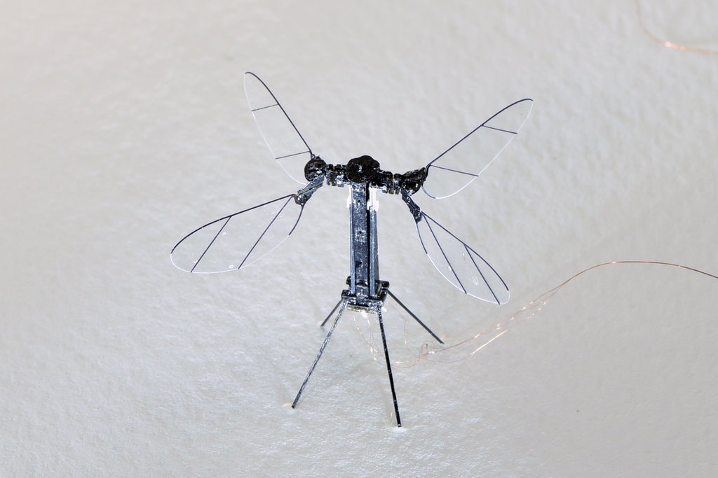 Image of tiny aerial robot. Image of tiny aerial robot.