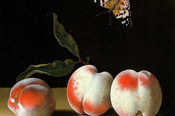 maddie rune | Substack