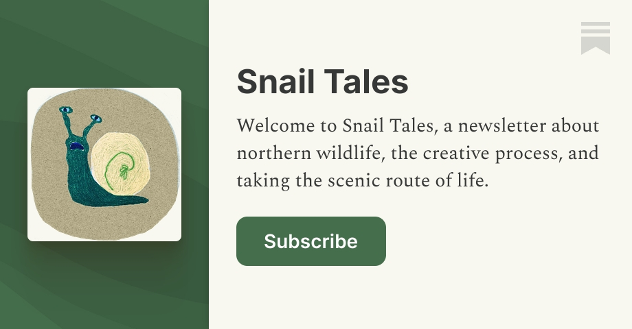 Snail Tales | Avery Elias | Substack