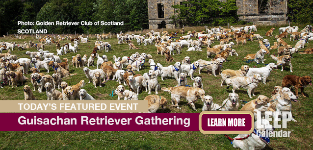 Hundreds of Golden Retrievers Gather with their owners in Scotland—Photo: Gloden Retriever Club of Scotland. Hundreds of Golden Retrievers Gather with their owners in Scotland—Photo: Gloden Retriever Club of Scotland.