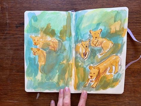 animal illustrations by Beth Spencer