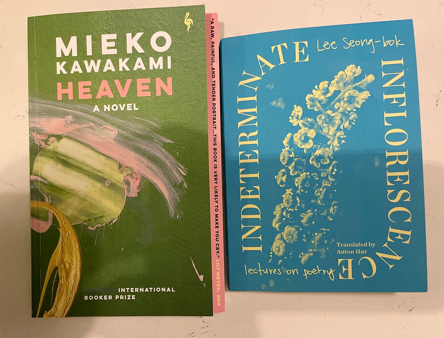 Heaven by Mieko Kawakami and Indeterminate Inflorescence by Lee Song-bok