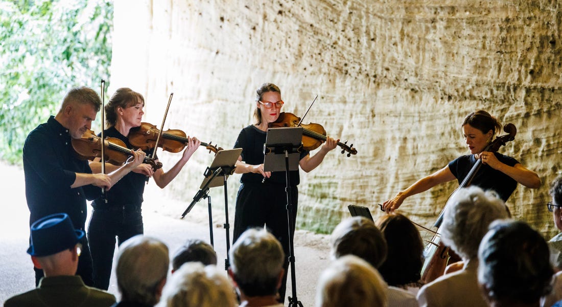 A concert with violinists at the front, an audience, and a cave wall to the right