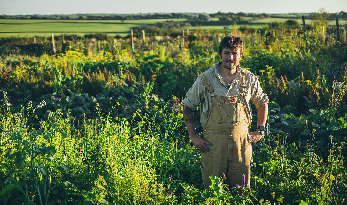 A Deeper Dive Into Birch Farm - Huw Richards