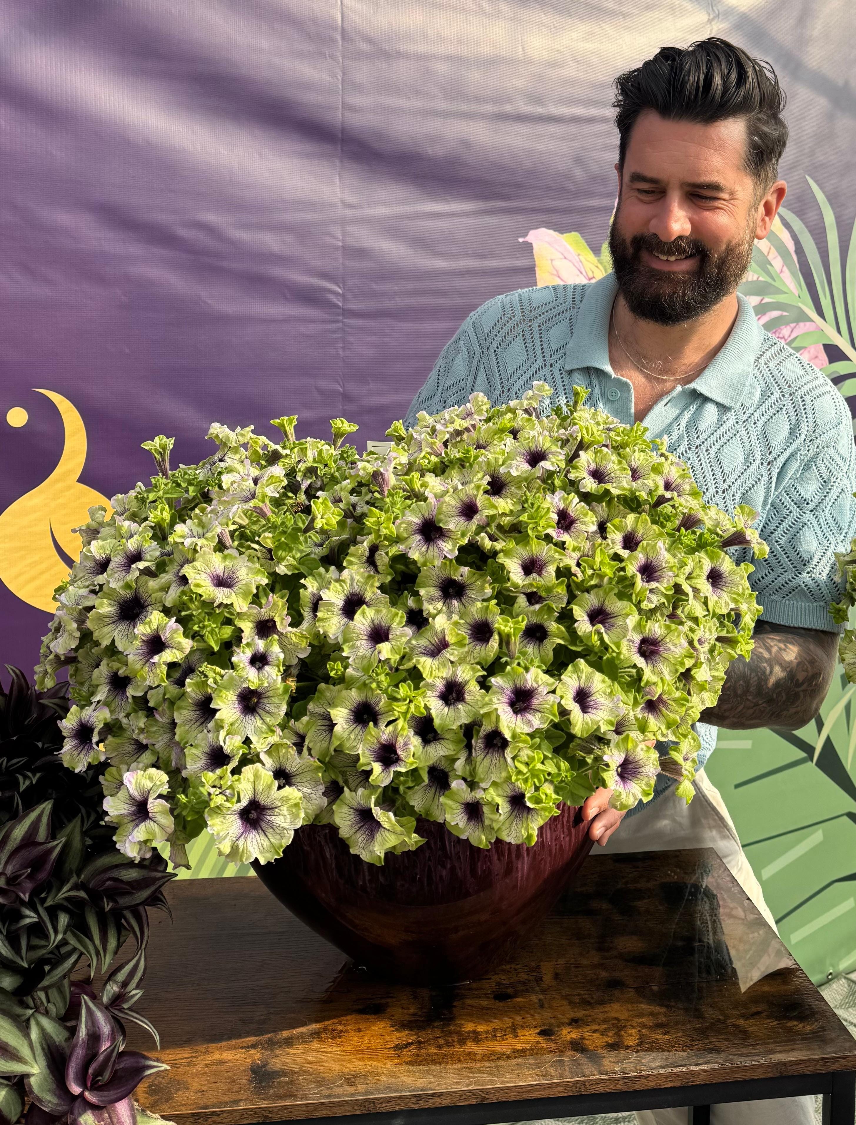 The ONLY petunia allowed at Chelsea - by Mr Plant Geek