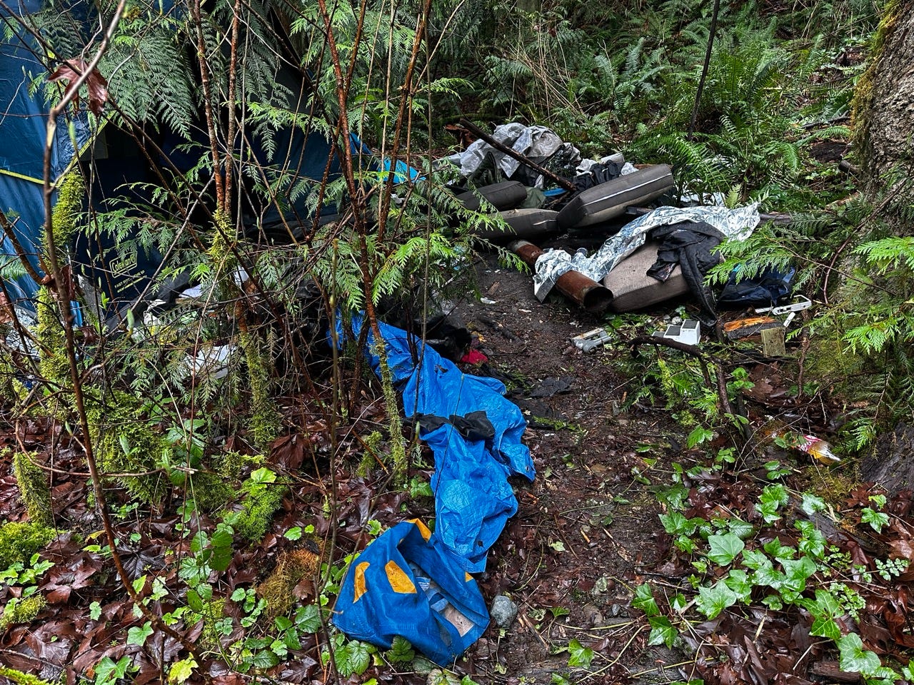 A pile of trash in the woods

Description automatically generated