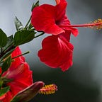 The Resilient Creative