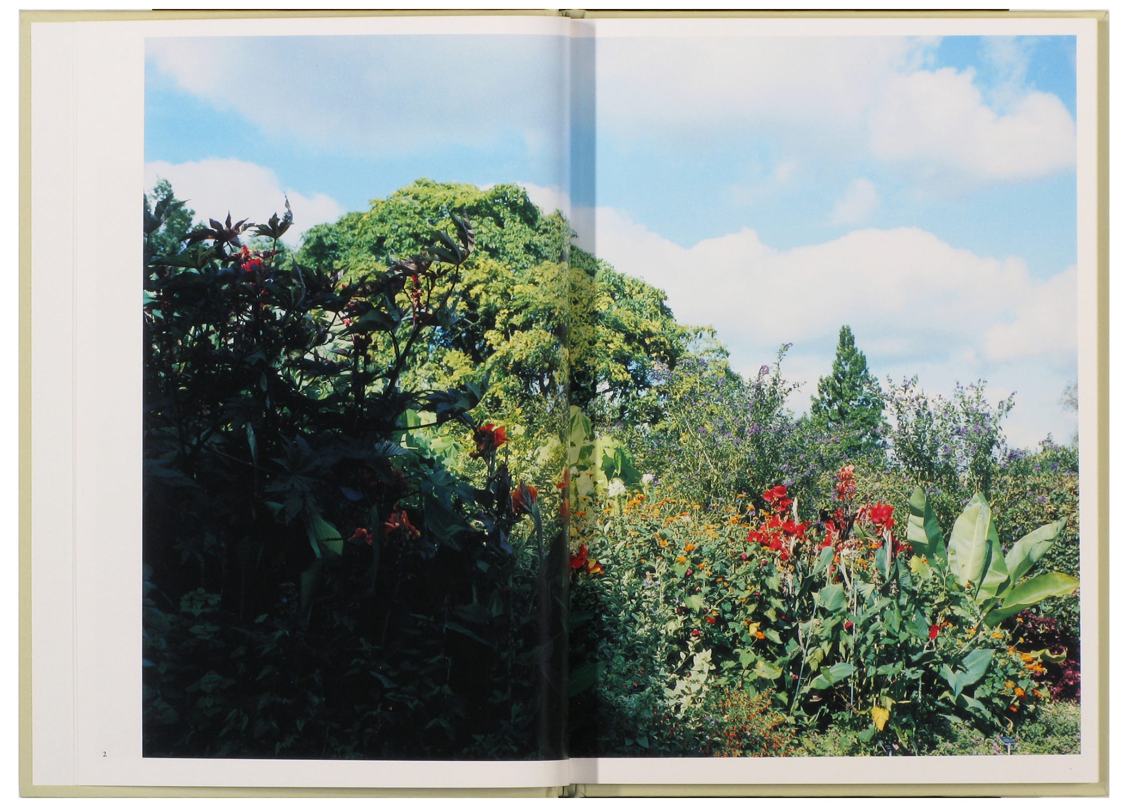 Art Direction Source Material: Takashi Homma - by Kimberly