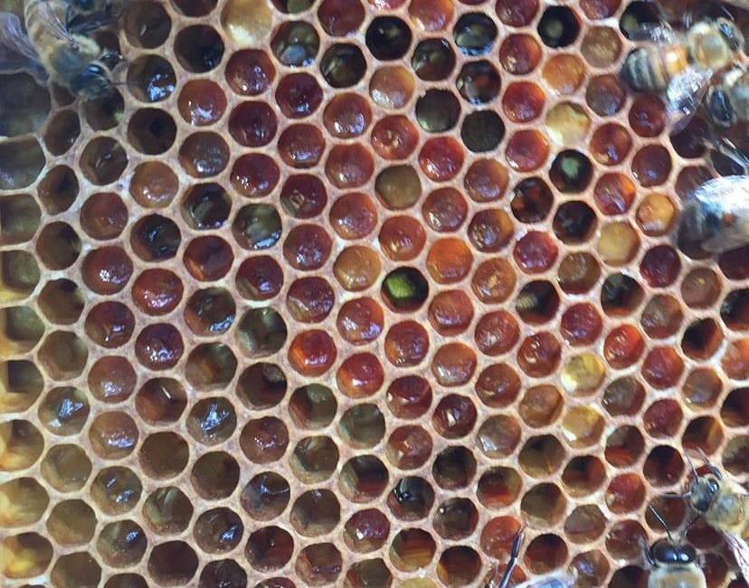 3 pollen myths