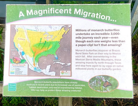 Photos taken outside of the Monarch Butterfly Pavilion of the windmill and the placards explaining the migration route.