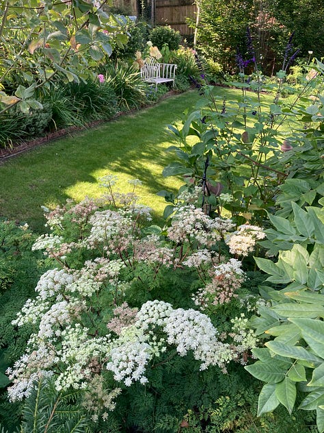 View of Cottage Garden planting