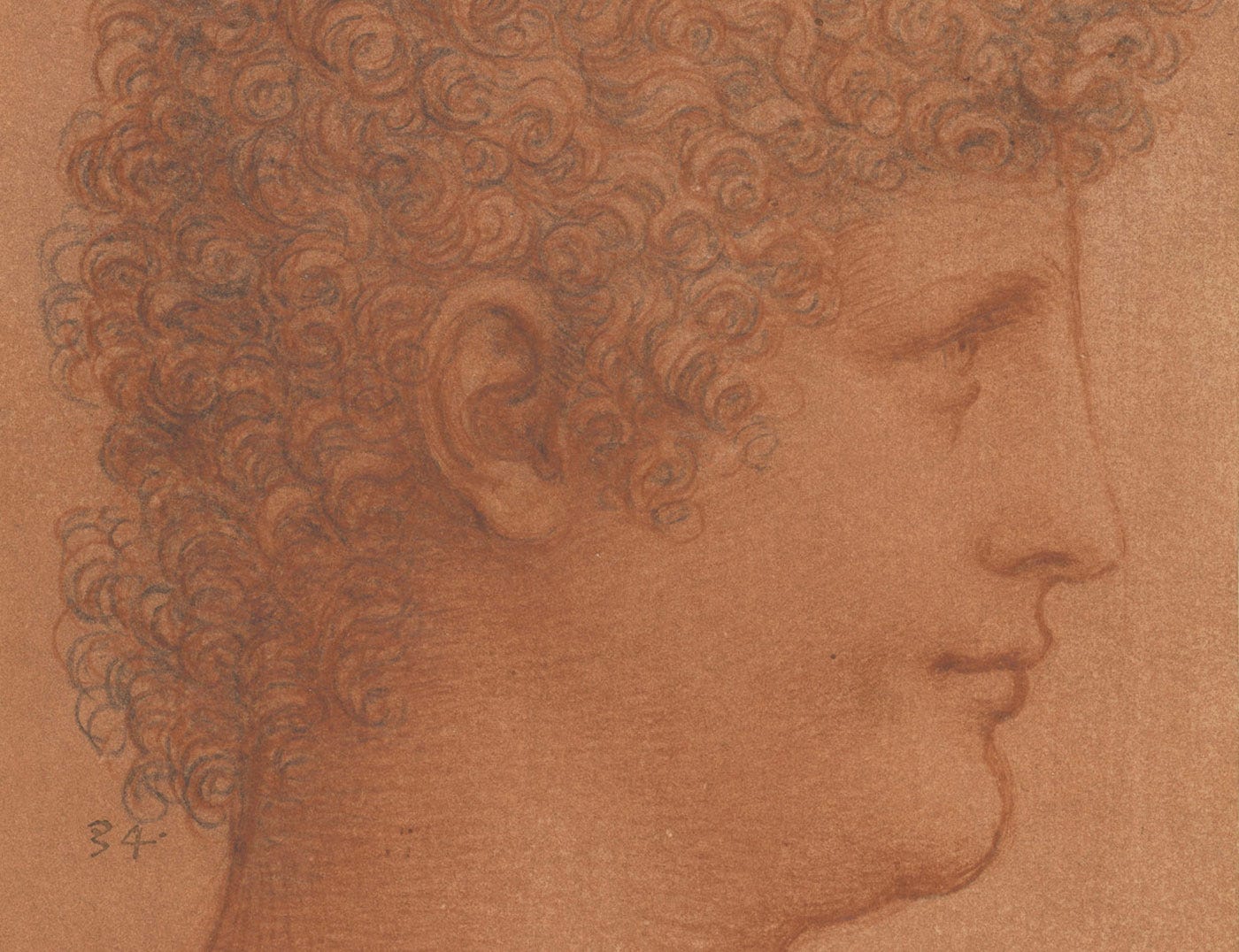 Leonardo da Vinci head of a youth