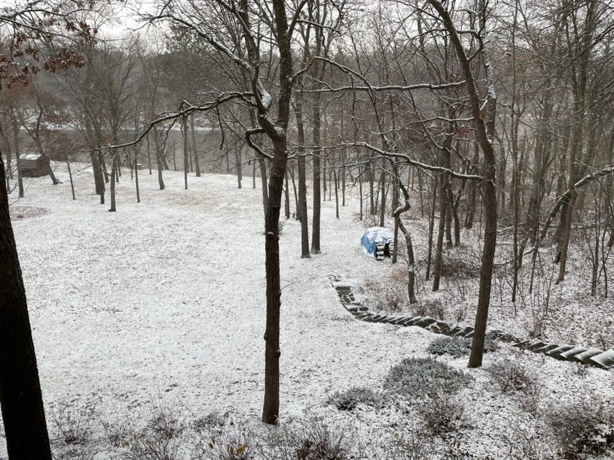 A snowy forest with trees and a blue tent

Description automatically generated