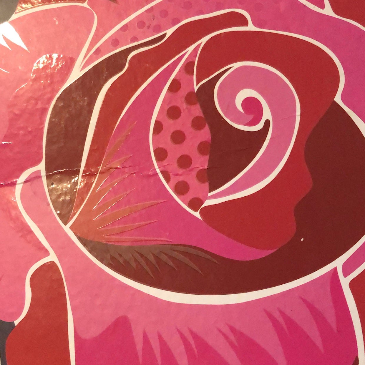 The Perpetual Acolyte (Bella)