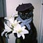 User's avatar