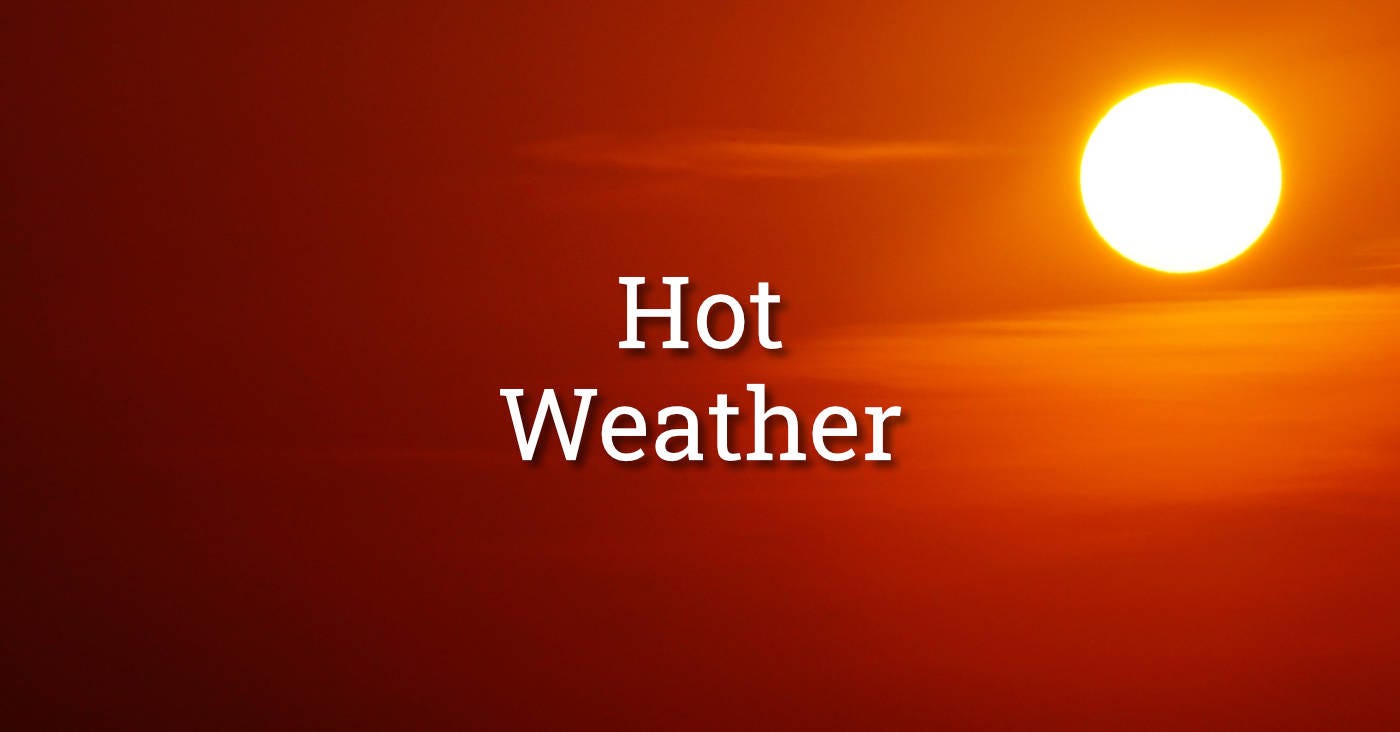 Weekend Wrap-Up and Look Ahead: June 20, 2022