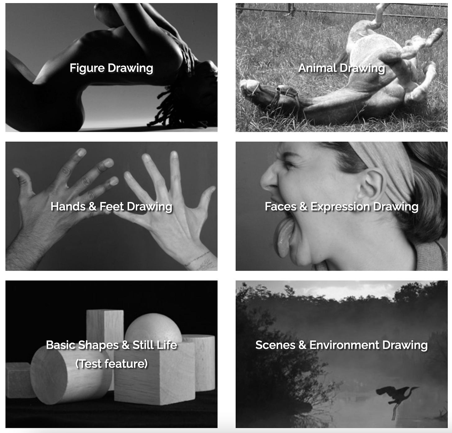 6 timed drawing practice options on line-of-action.com