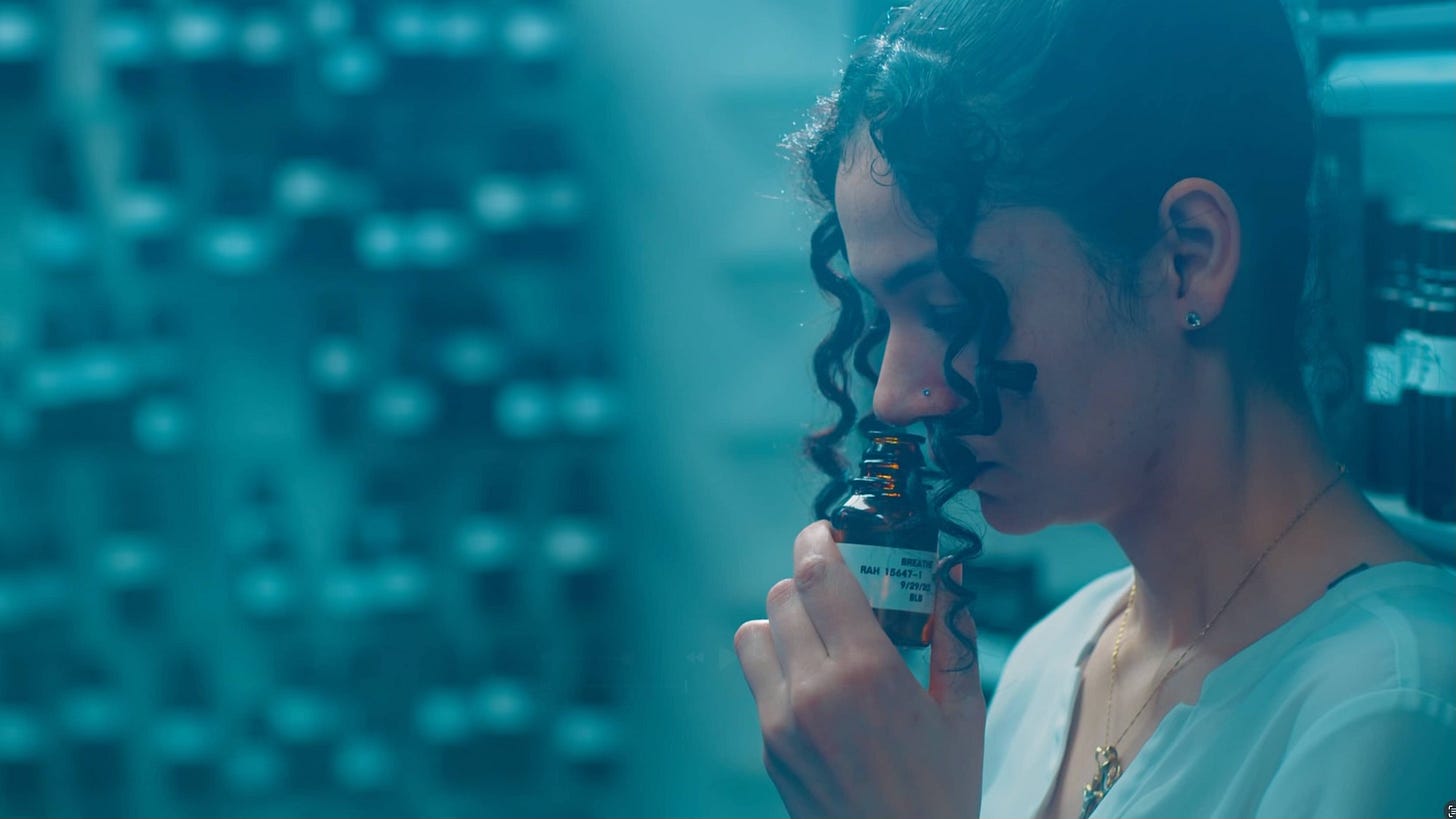 Long lasting fragrances smelling scent Long lasting fragrances smelling scent