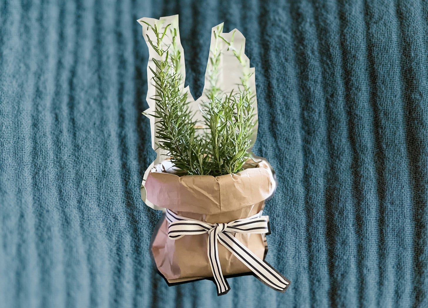 A cutout photo of herbs in a paper bag with a cute ribbon around it. The cutout is set atop a blue fabric background. A cutout photo of herbs in a paper bag with a cute ribbon around it. The cutout is set atop a blue fabric background.