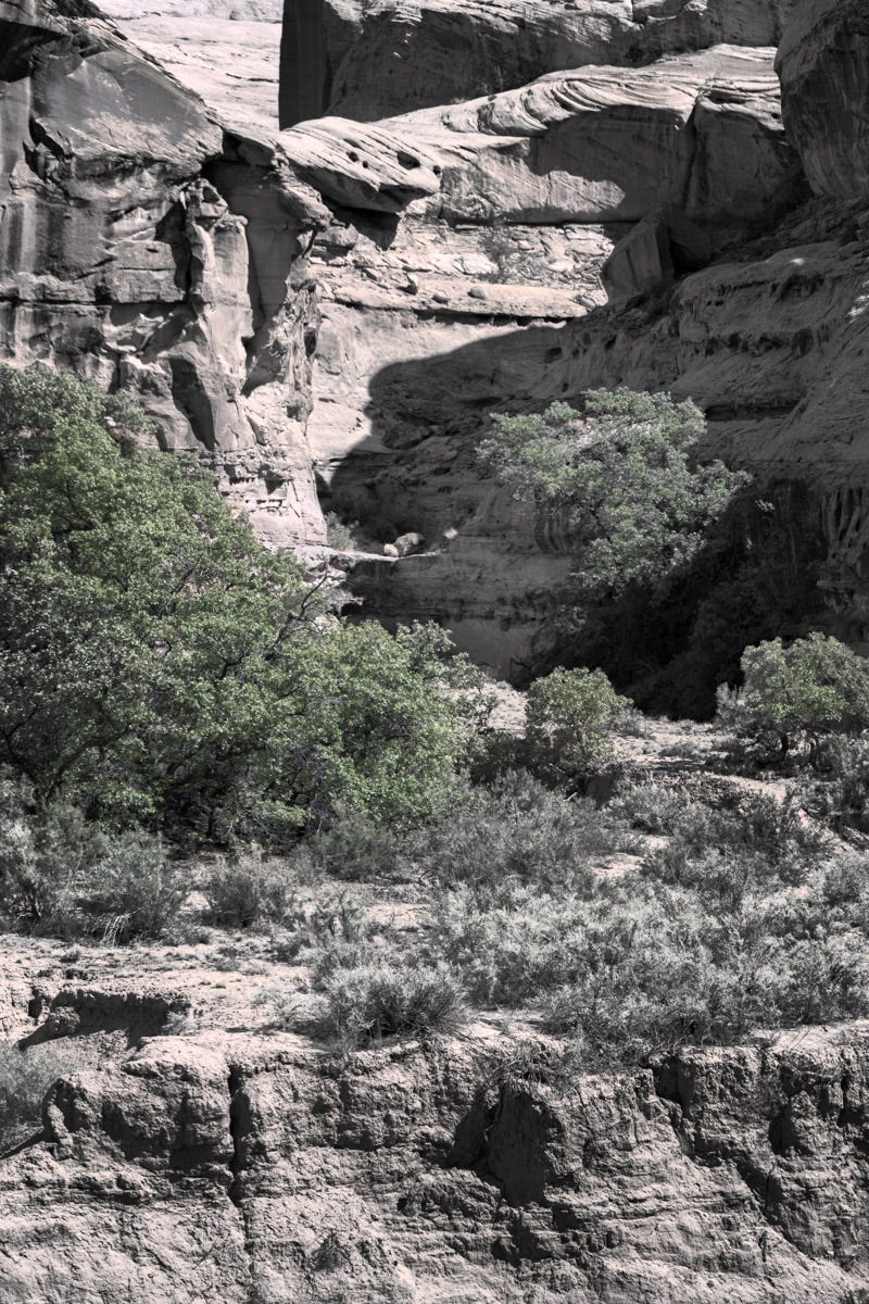 A colorized photo of a desert maze with cliffs and pale green trees.