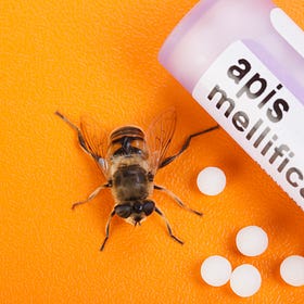 Homeopathy & Apis mellifica