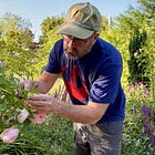 Clippings No.8 Deadheading: Keep the Colour Coming All Summer