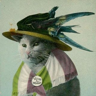 Wandering Down the Rabbit Holes of History