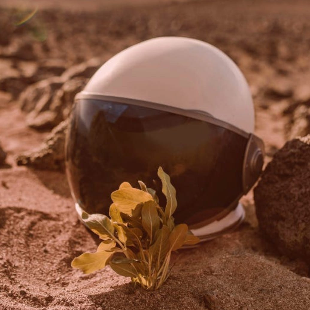 The Anatomy of Reality