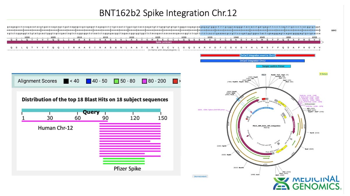Vaccine targeted qPCR of Cancer Cell Lines treated with BNT162b2