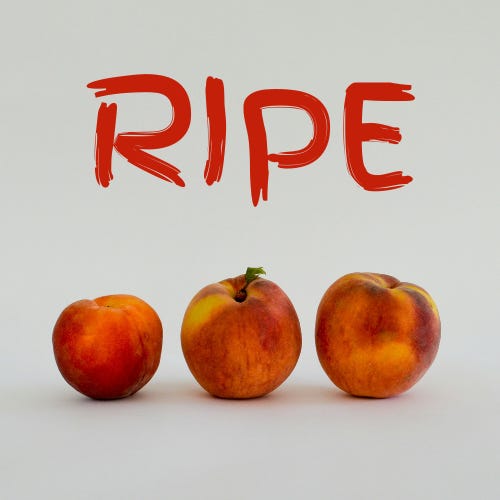 RIPE logo