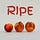 RIPE