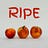 RIPE