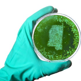 Expanding Medicaid for Black women in the Delta could save lives—and the state budget