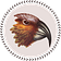 The Kākā by Bernard Hickey