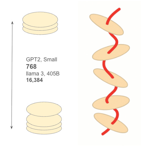 Single Token Geometry 01: Topology - Deep Manifold