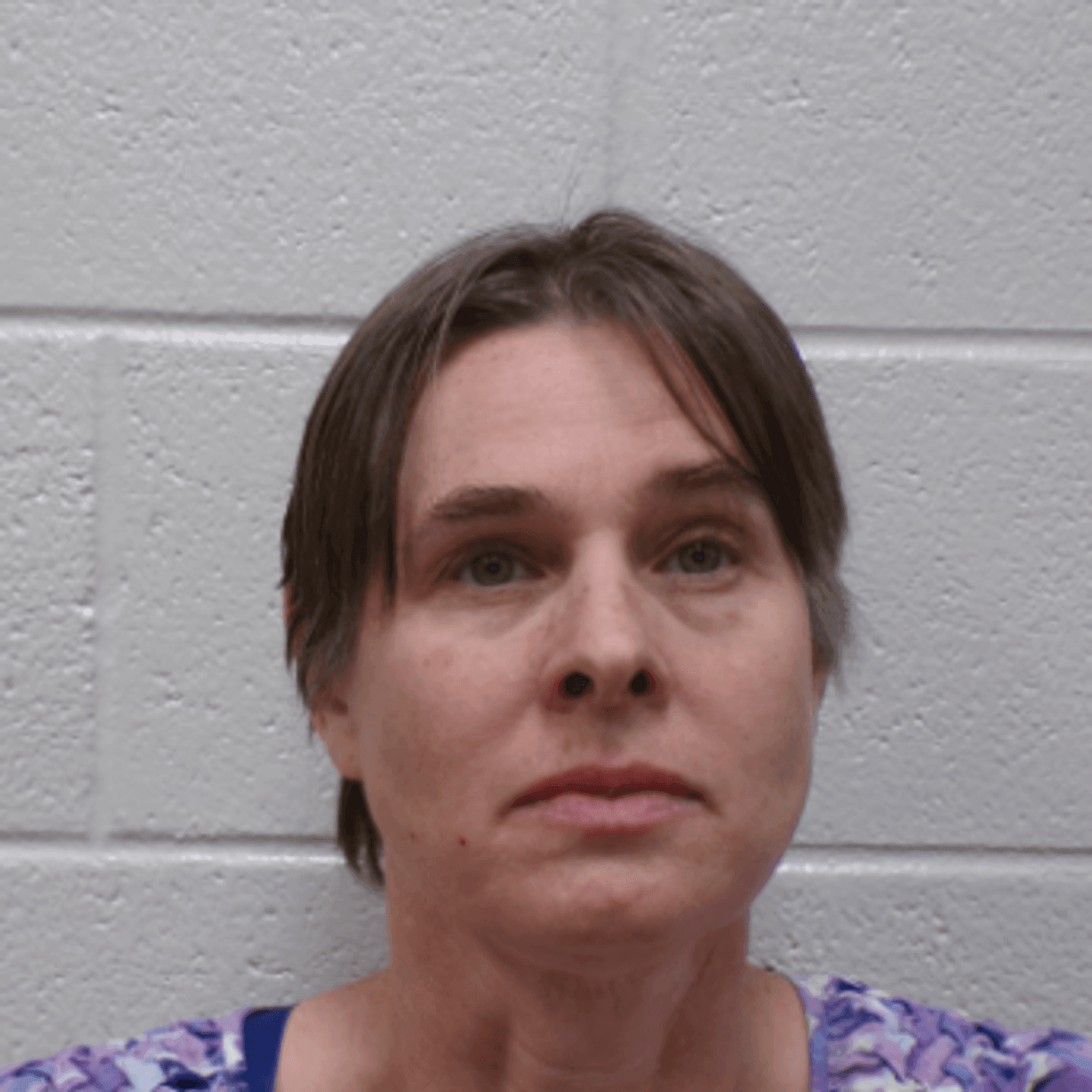 North Carolina woman accused of poisoning family on Thanksgiving could face  death penalty