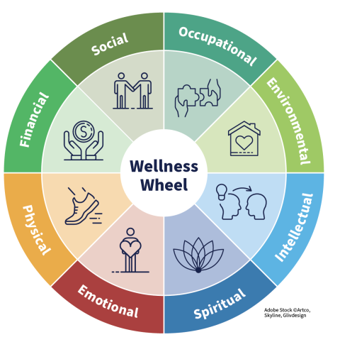 Wellness Wheel Assessment | Extension