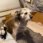 Quando fermarsi è più produttivo che andare avanti