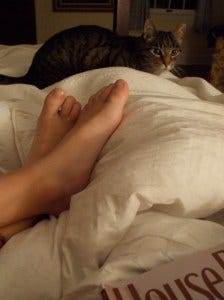 one by one cozy