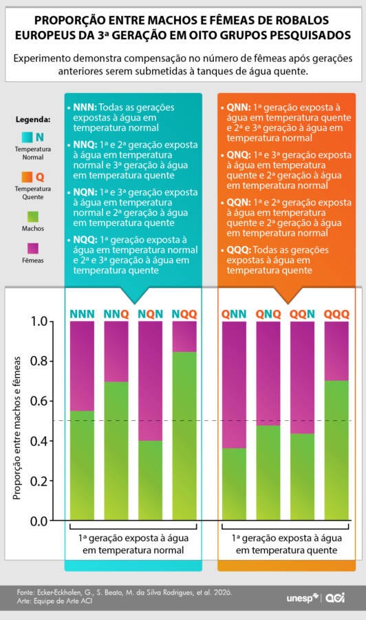 Info sexagem de peixes Info sexagem de peixes