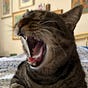 NullPointer's avatar
