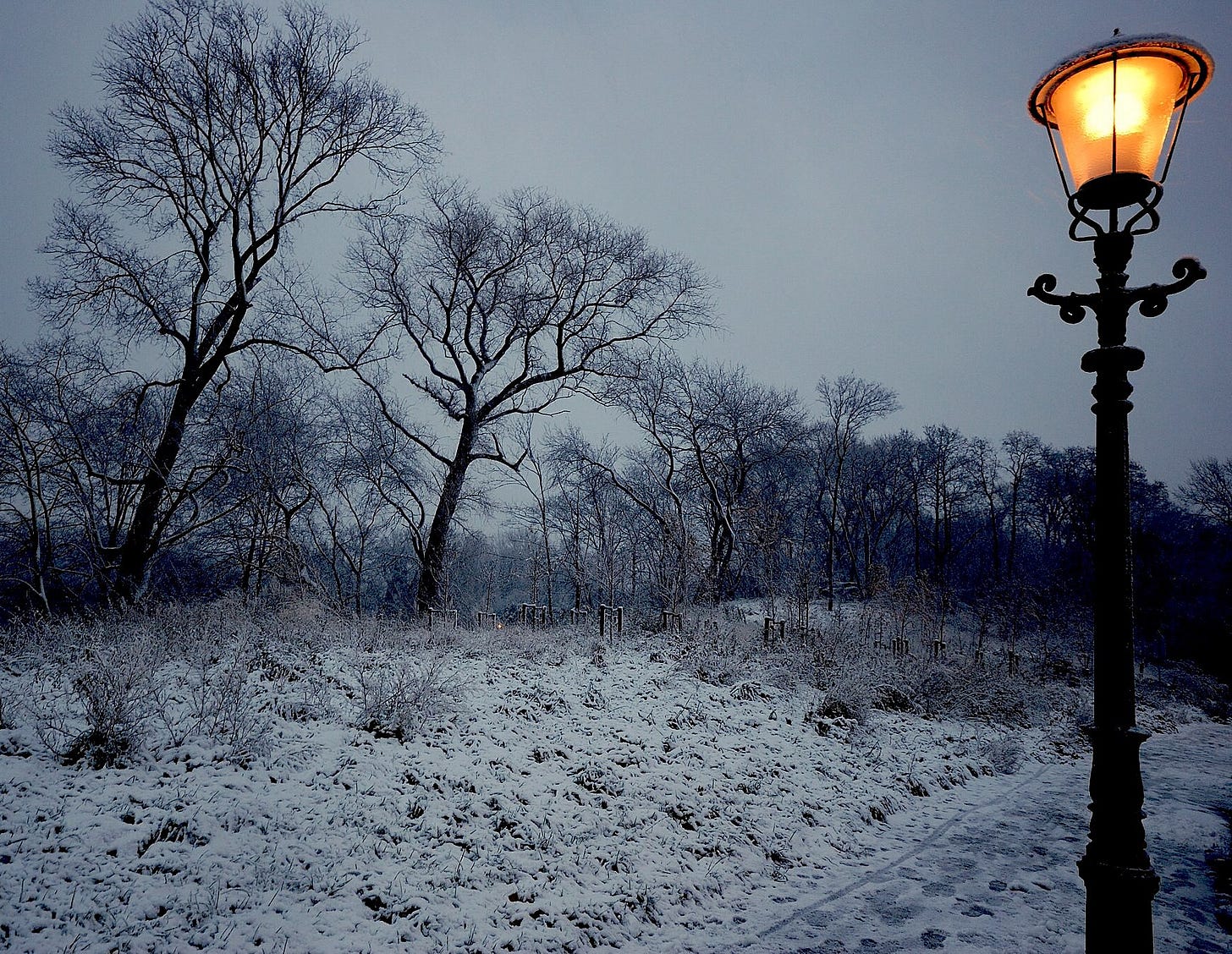 Vintage lamppost on snowy treelined path