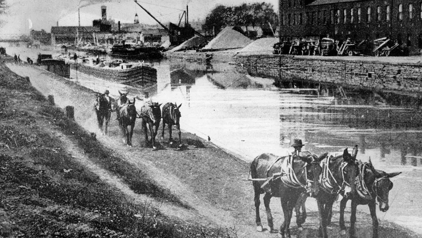 Towing barges on the Erie canal by mule.