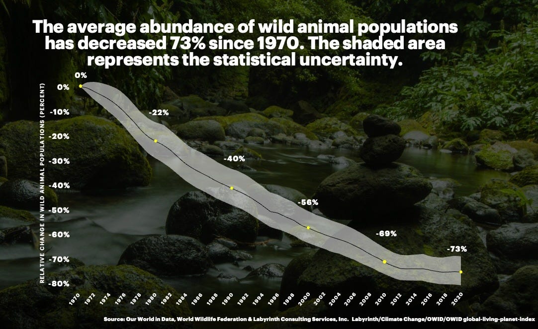 A line graph is shown against a natural river scenery background. The heading text reads "The average abundance of wild animal populations has decreased 73% since 1970. The shaded area represents the statistical uncertainty. The line graph is shown on a steep decline from 1970 to 2010, where it flattens out to a less severe decline. There is a shaded portion around the line indicating statistical uncertainty.