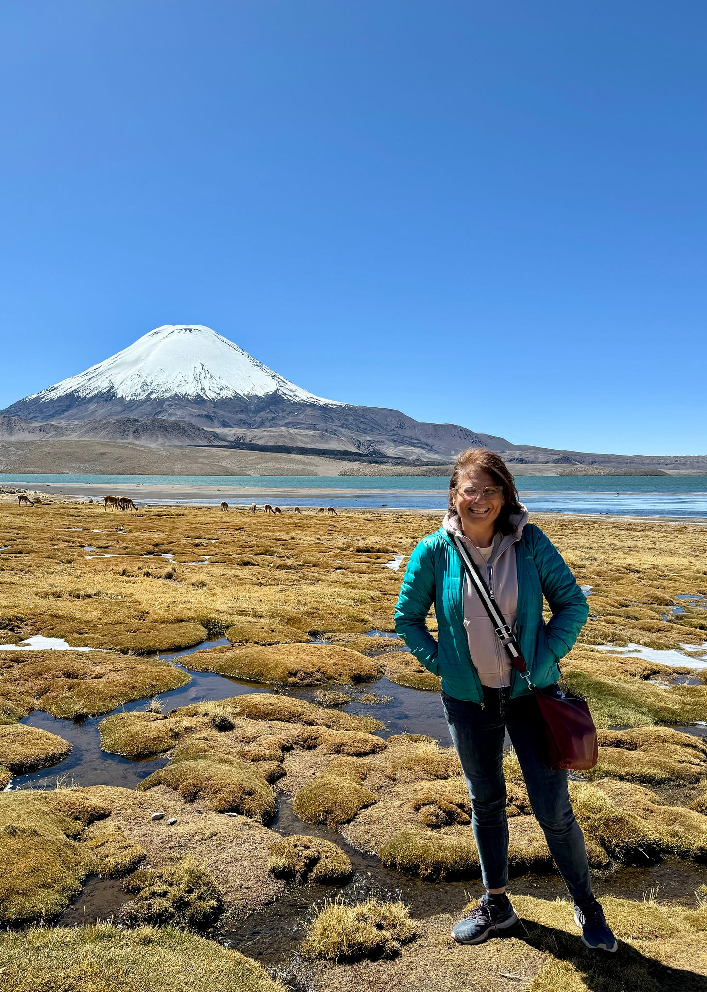 La autora en el Parque Nacional de Lauca en Chile con volcán con cono nevado.