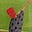 Michael diCanio's avatar