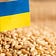 Ukrainian Mother's Fight for Her Daughter