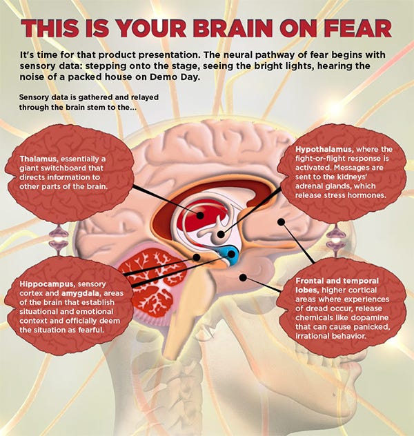 Your Brain On Fear